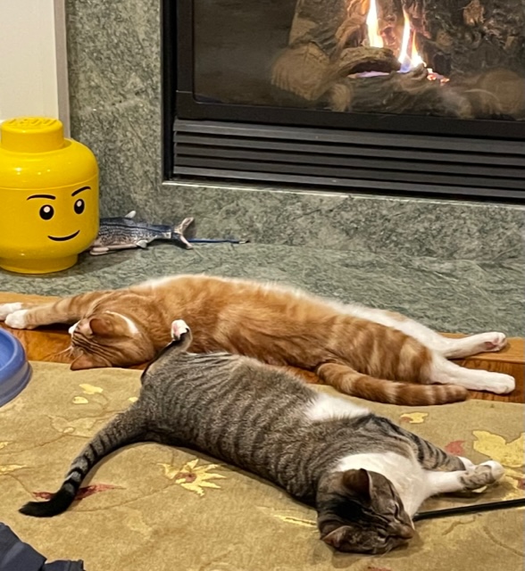 catsfireplace