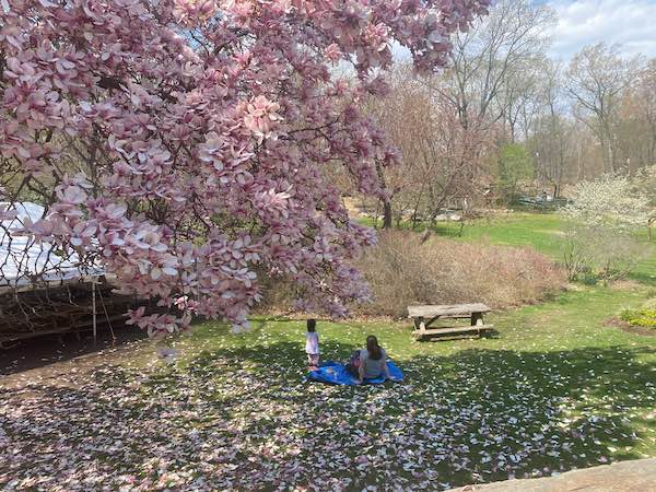 GreenburghNatureCenter