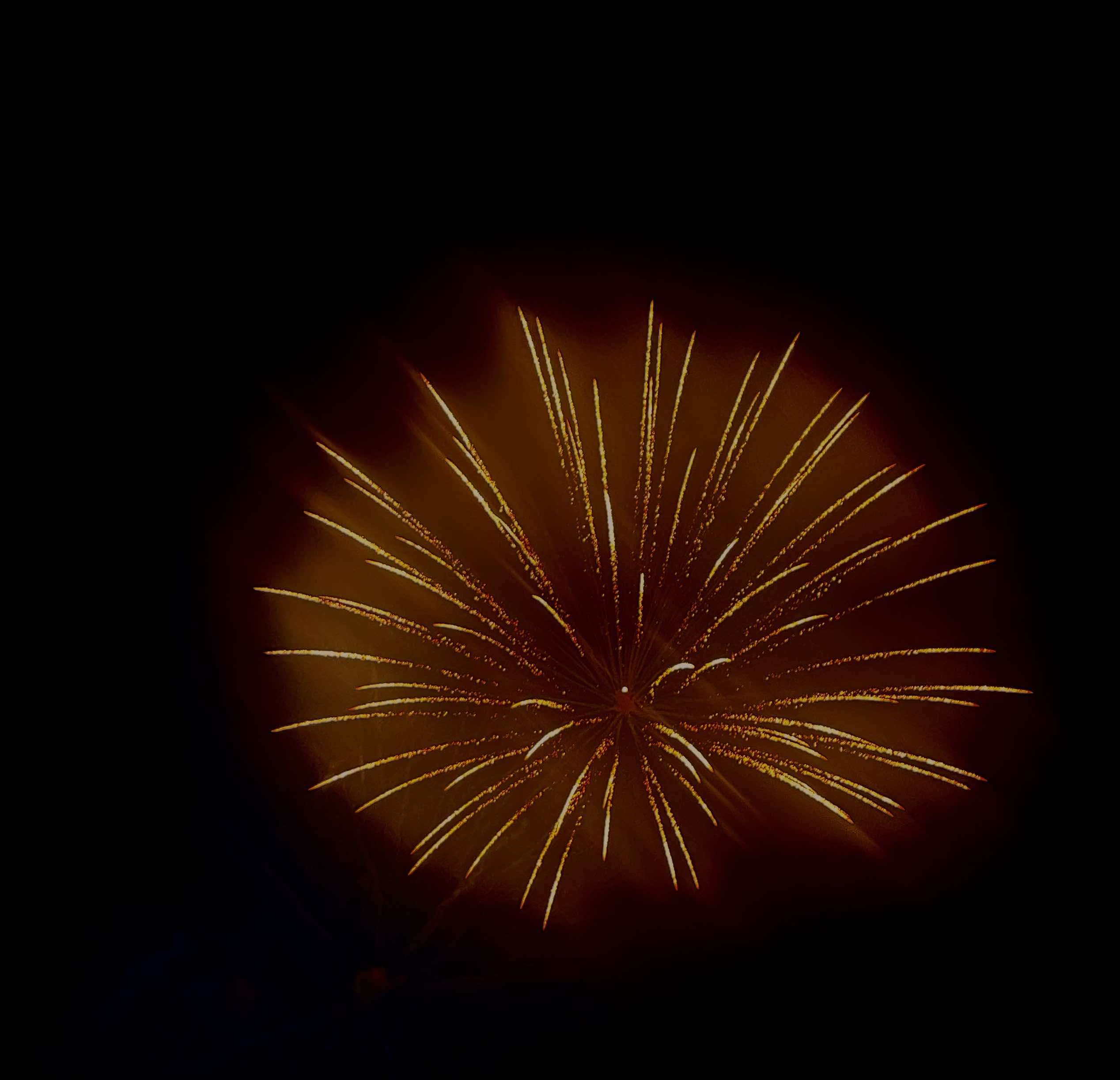 fireworks5 fireworks5