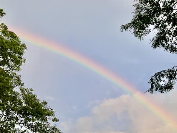 Rainbow