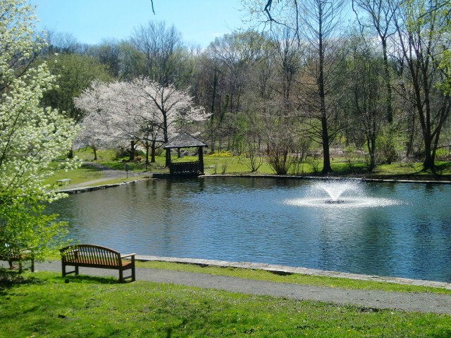 LibraryPond