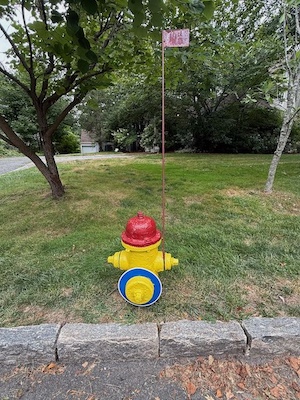 firehydrantbluecollar