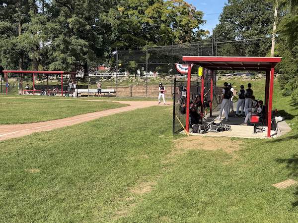 Dugout2
