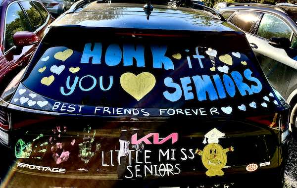 snrcarhonk snrcarhonk