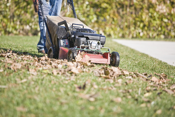 MulchMowing