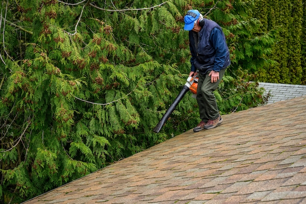 gasleafblower